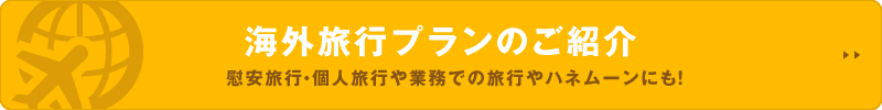 海外旅行プランのご紹介　慰安旅行や業務での旅行、ハネムーンにも！